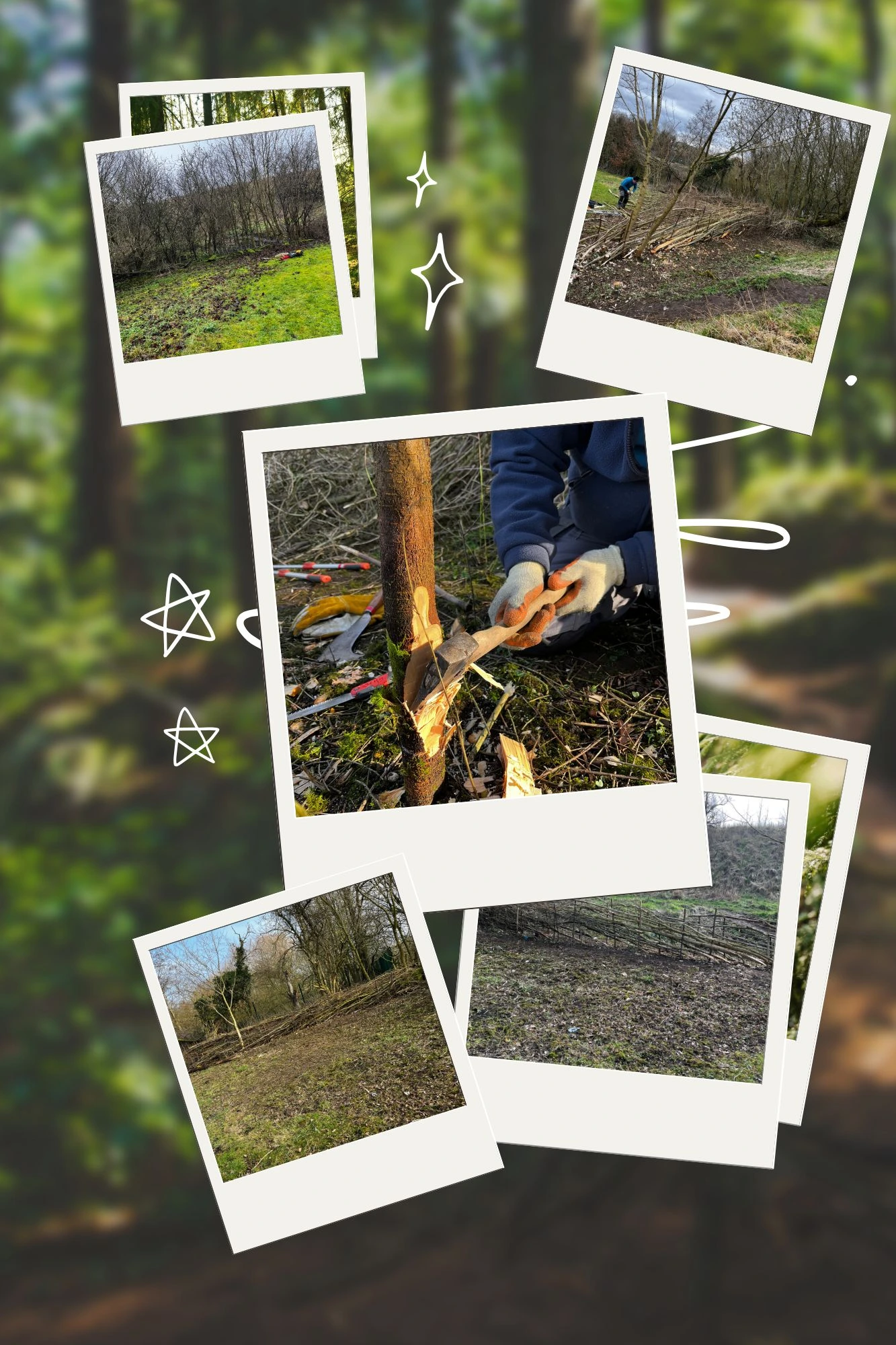 A group of photographs showing the work carried out on the hedges at the recreation ground in Bishop Middleham, before and after. Also showing how the work was carried out.